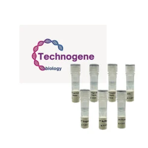 HyperTherm SynThex cDNA Synthesis Kit- کیت سنتز cDNA