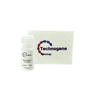 DNase / RNase Free Water