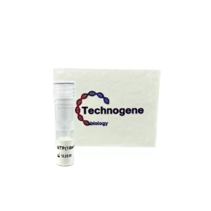 ATP (10mM)
