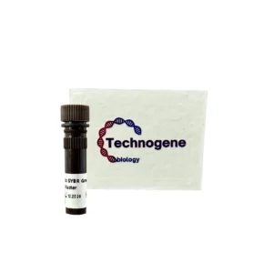 SYBR Green Master Mix