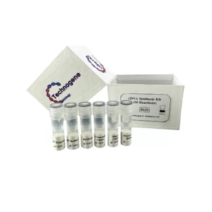 HyperTherm SynThex cDNA Synthesis Kit