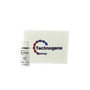 Fe-Si Nanoparticle