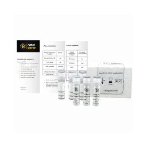 microRNA cDNA Synthesis Kit (Poly A)