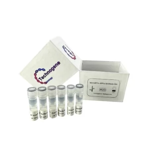 microRNA cDNA Synthesis Kit (Poly A)