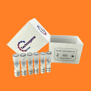 microRNA cDNA Synthesis Kit (Poly A)