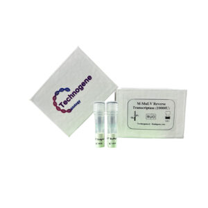 HyperTherm SynFusion Reverse Transcriptase