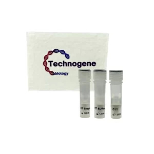 HyperTherm SynFusion Reverse Transcriptase