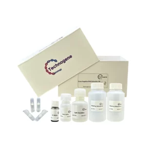 Gram Negative Bacteria DNA Extraction Kit